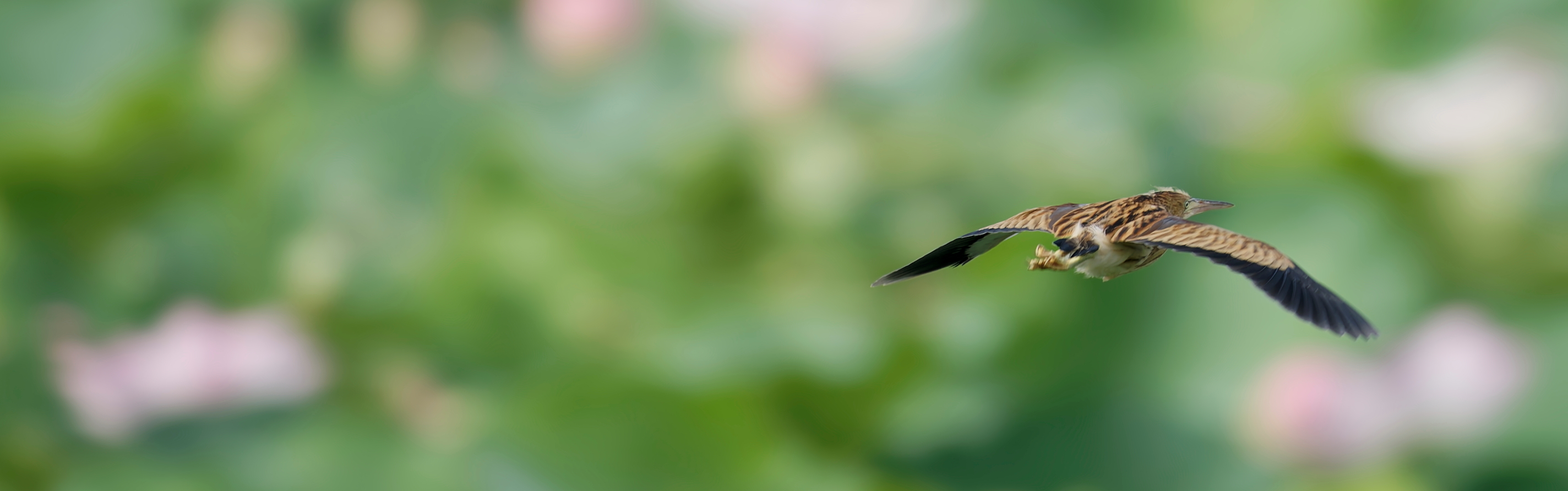 �쒹�M�������[�@��